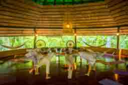 Outdoor Yoga Retreat Center in Costa Rica