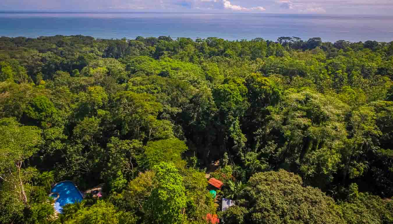 The Goddess Garden Yoga Retreat Center