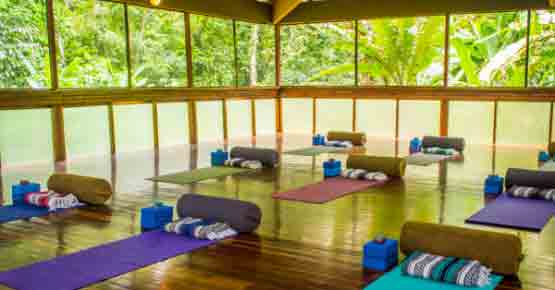 Yoga Retreat in Costa Rica Jungle