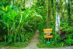 Hotel and Yoga Retreat in Costa Rica Jungle