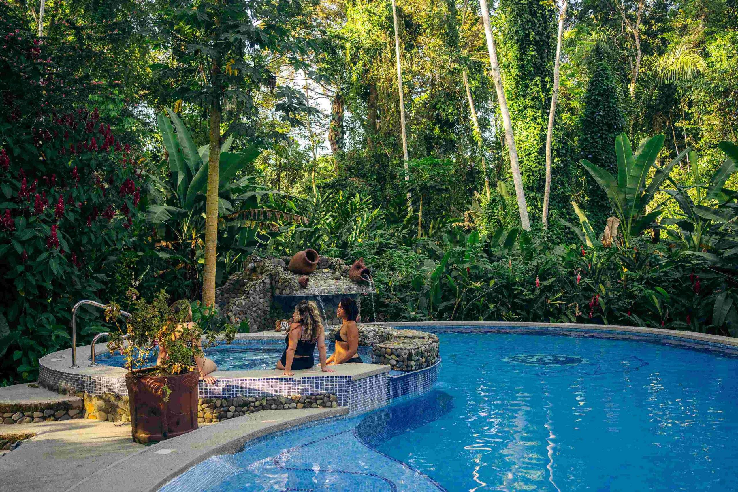 An outdoor swimming pool surrounded by dense tropical foliage