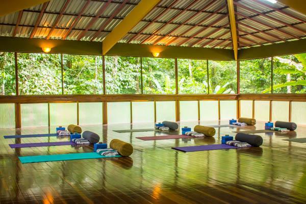 14-Day Yoga Teacher Training
