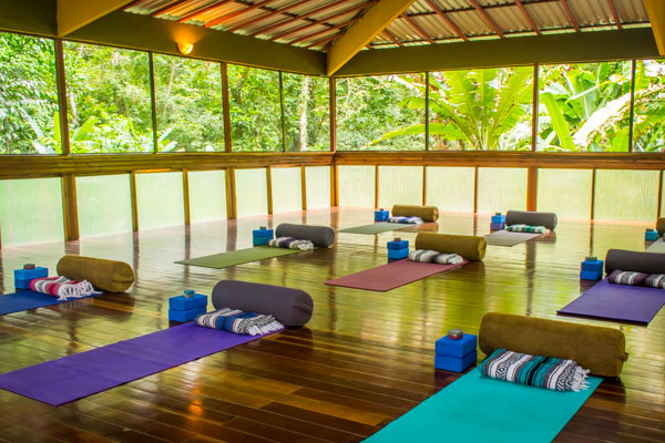 Yoga retreat with Yoga Teacher