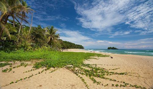 Cocles beach with sand, jungle, and ocean Caribbean coast