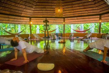 Best Yoga Teacher