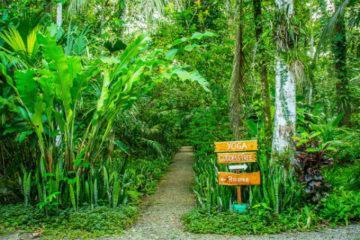 Things to do in Cahuita