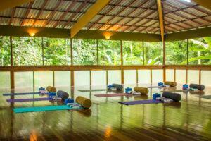 Our yoga space with mats, bolsters, blankets and blocks 