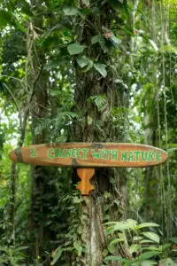 A rustic wooden sign reading "2. CONNECT WITH NATURE" hangs from a tree trunk in the Costa Rican jungle, surrounded by lush foliage and trailing vines